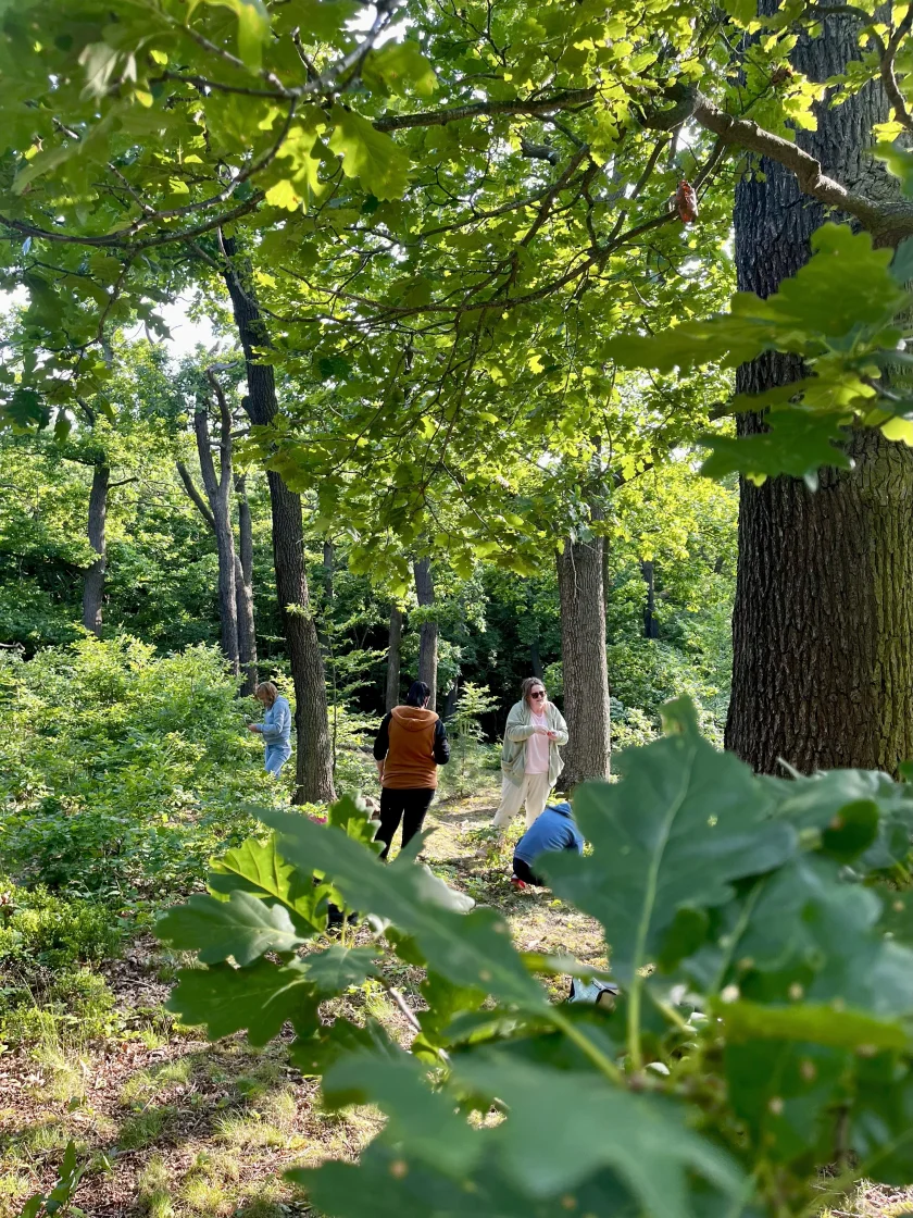 Afterwork-Waldbaden in Drübeck