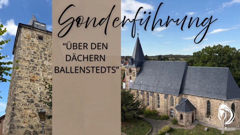 Altstadtführung "Über den Dächern der Stadt"