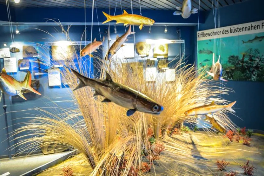 Auf den Spuren der Natur