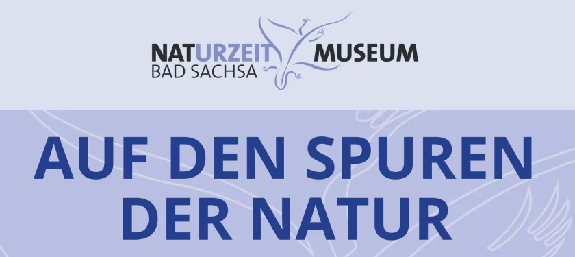 Auf den Spuren der Natur: Führung durch das NatUrzeitmuseum