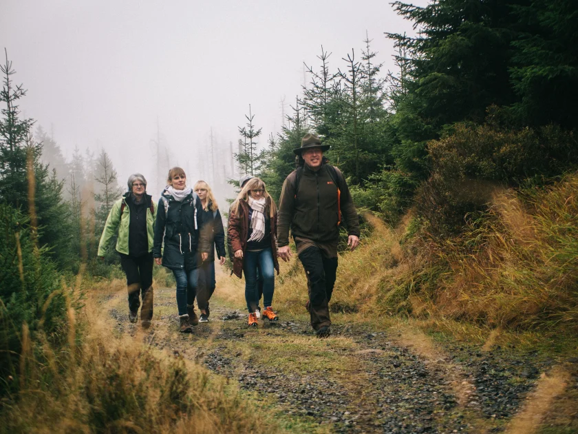 Ausblicke in den Wald von morgen - 
