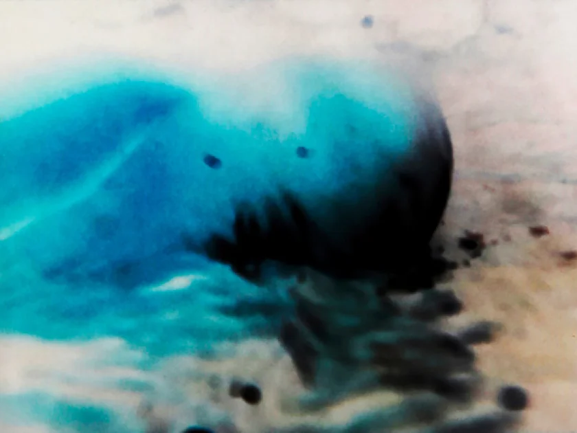 Ausstellung von Jette Held "Doch, die Bäume werden kürzer werden länger" - DOCH, DIE BÄUME WERDEN KÜRZER WERDEN LÄNGER