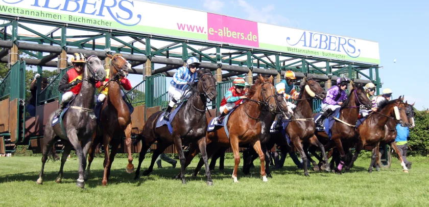 146. Bad Harzburger Galopprennwoche - 