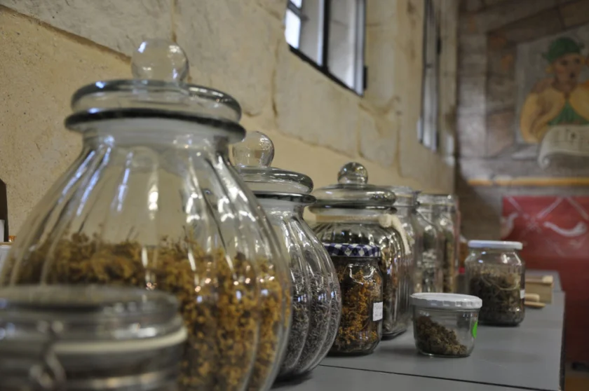 BalkongartenWerkstatt: Naschgemüse & Kräuter (für Anfänger) | KreAktive Werkstatt