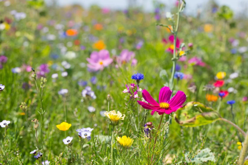 Bastelnachmittag: Taschendruck und Blumenkränze