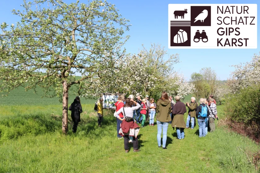 Bunter Streuobstwiesentag mit „Bioblitz“ und Streuobstpicknick