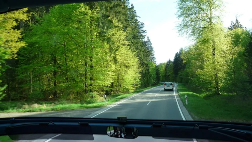 Busfahrt durch den Harz