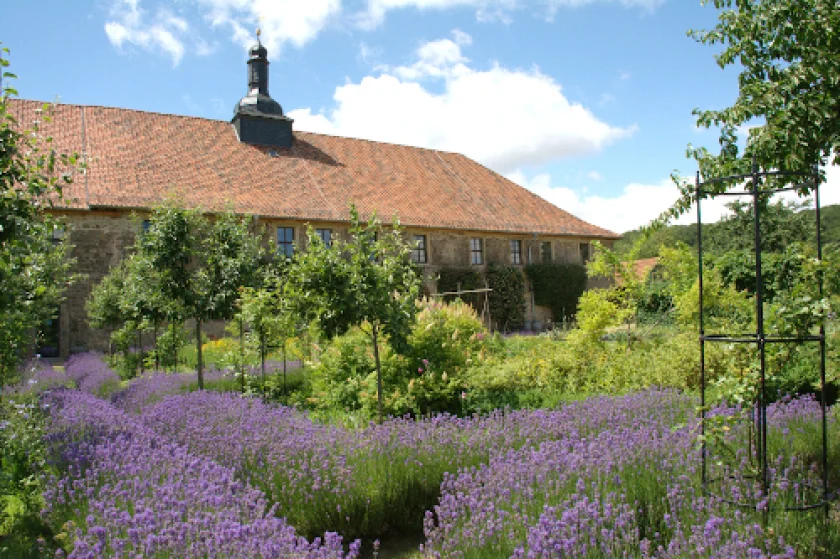 Das Geheimnis der blauen Blume oder: Auf den Spuren der Romantik in Michaelstein | Sonderführung zum Jahresmotto