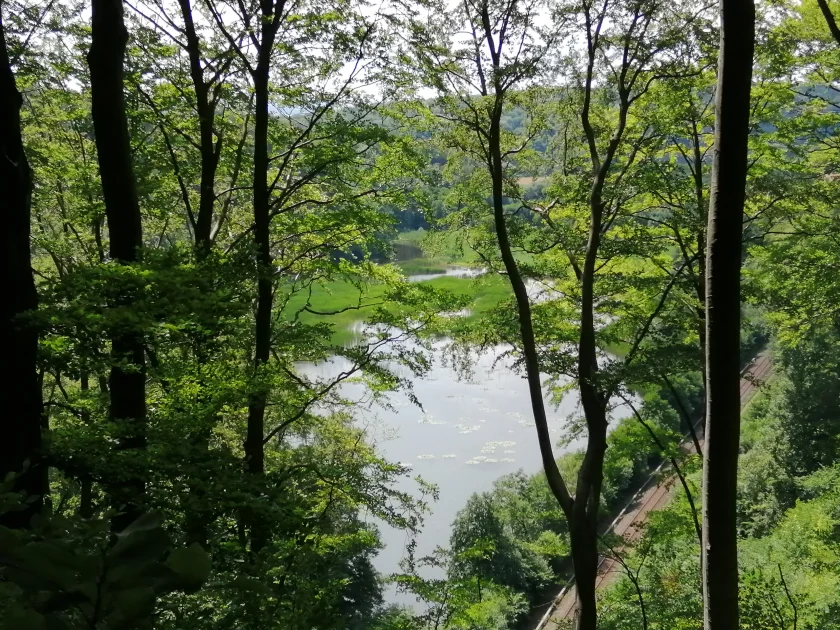 Der Itelteich - ein besonderes Naturschutzgebiet
