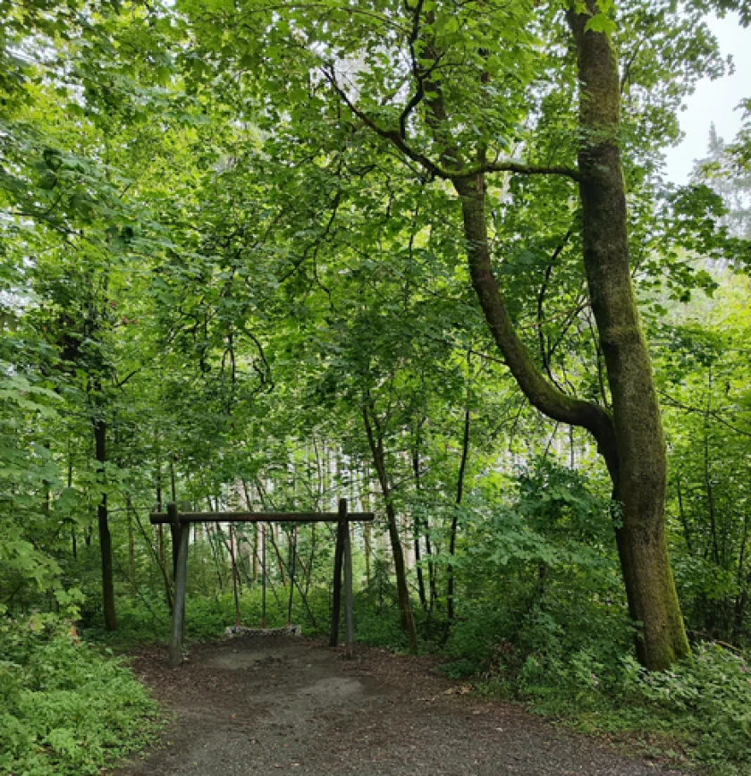"Der Wald im Wandel" - Erlebniswanderung