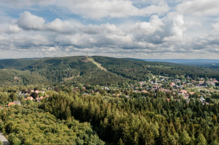 "Der Wald im Wandel" - Familienerlebniswanderung