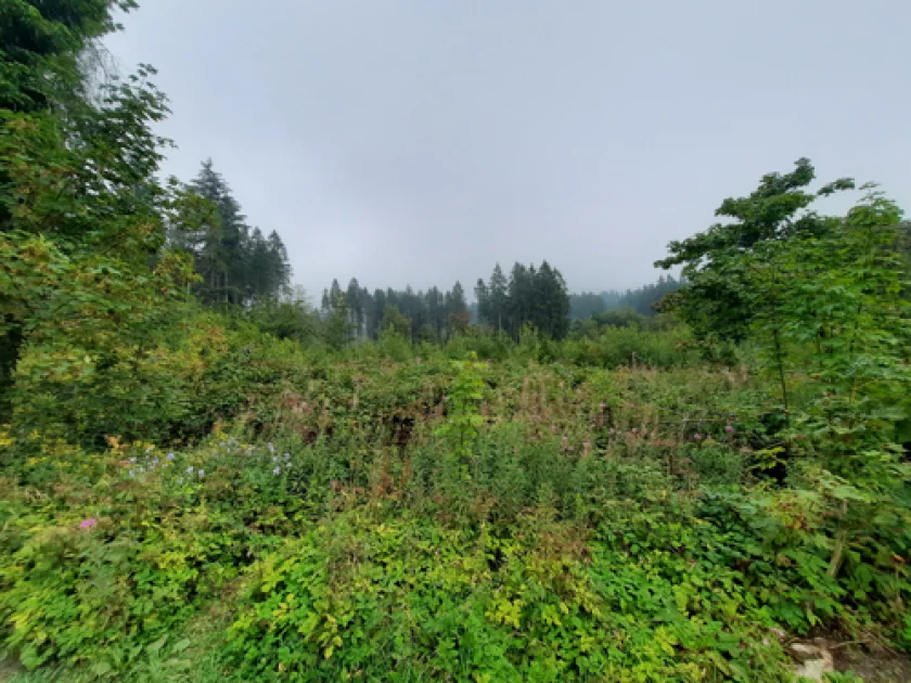 "Die Heckentür - Spielgeschichte" - Familienerlebniswanderung - 