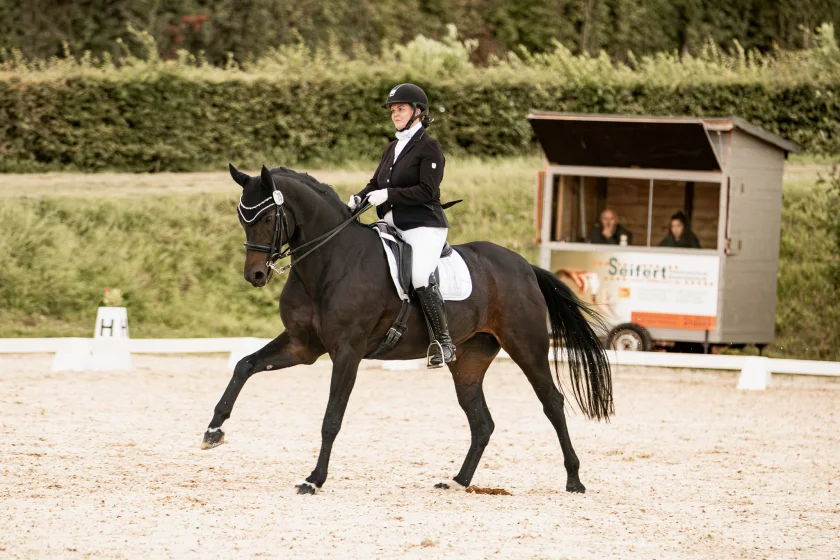 Dressurturnier des Reitvereins Westerode
