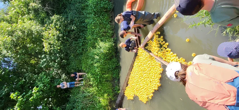 Entenrennen zugunsten der Bad Gandersheimer Tafel