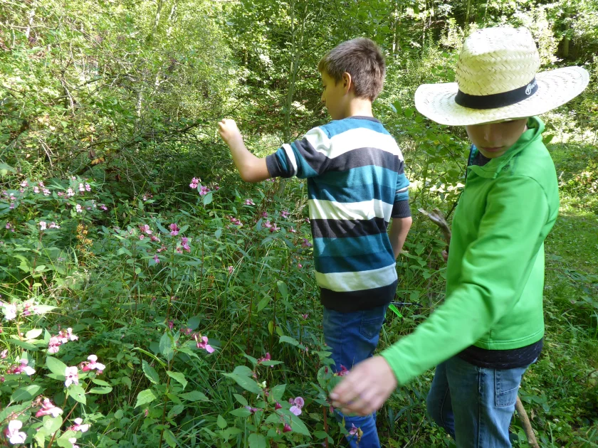 Erlebniswelt Wald – Tiere und Pflanzen entdecken mit dem NABU