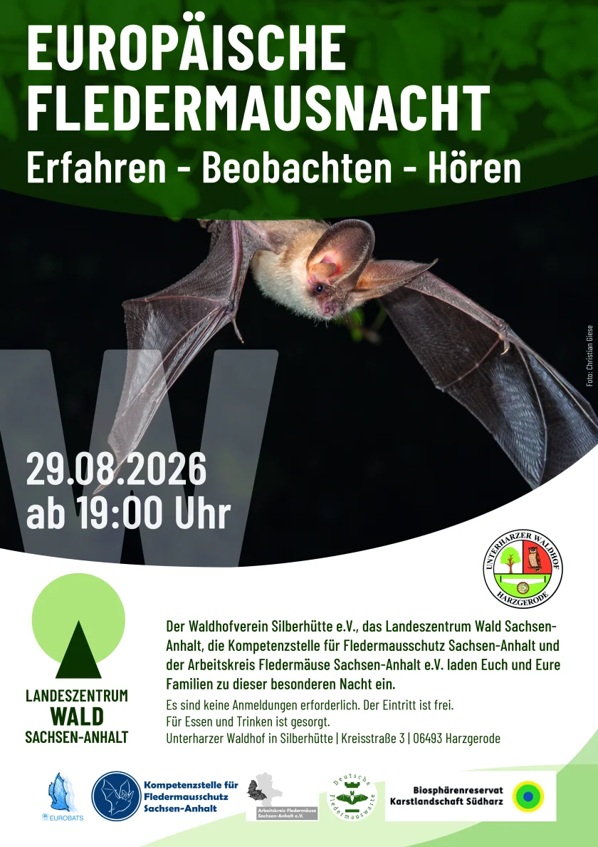 Europäische Fledermausnacht