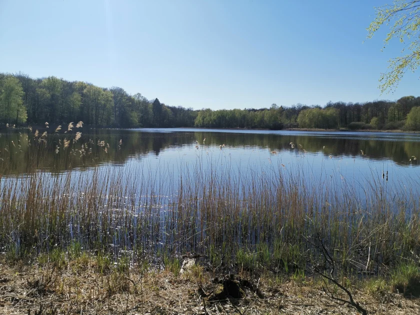 Familientag am Priorteich - Anbaden am Priorteich für die ganze Familie.