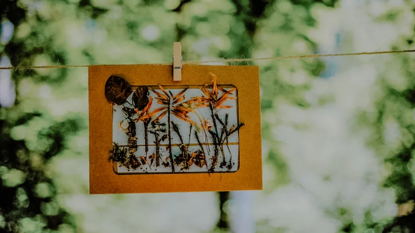 Familienzeit im Kurpark - Natur mit allen Sinnen erleben