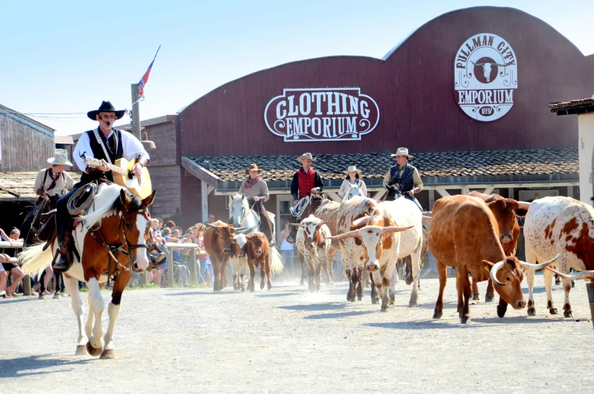 Family Special - Pullman City Harz