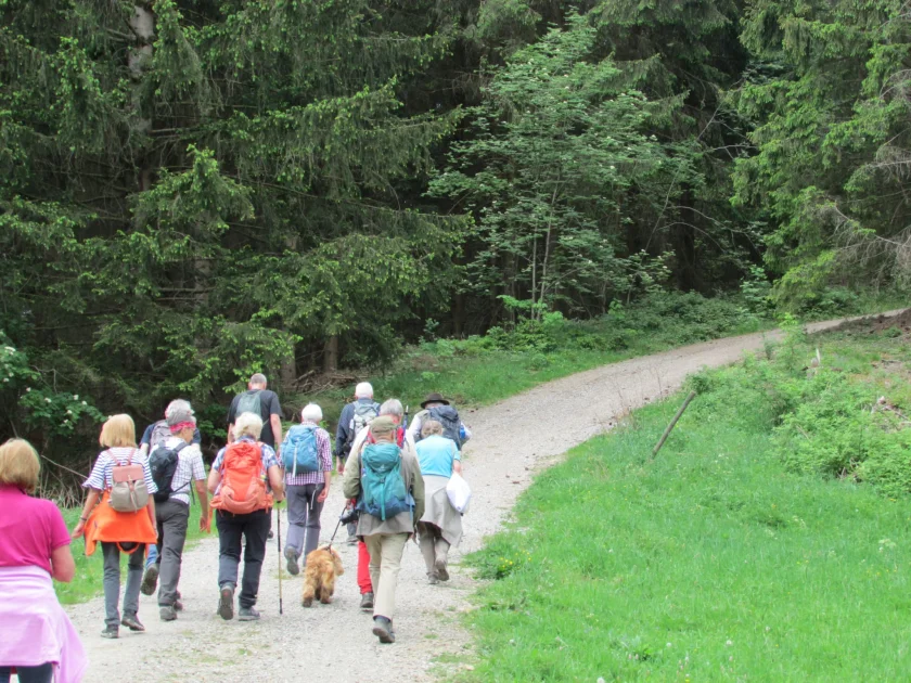 Feierabendwanderung Mühlenberg