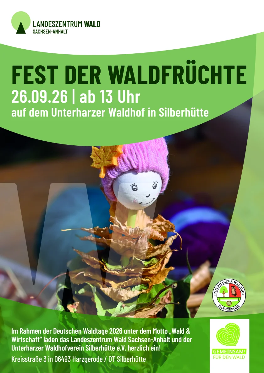 Fest der Waldfrüchte - Fest der Waldfrüchte