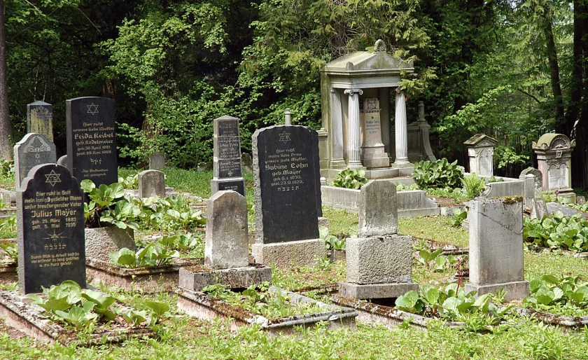 Öffentliche Stadtführung: Mikwe, Synagoge, Stolpersteine - auf jüdischen Spuren in Sondershausen