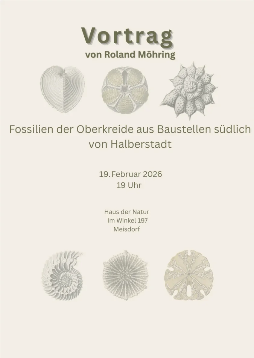 Fossilien entdecken – Vortrag im Haus der Natur Meisdorf