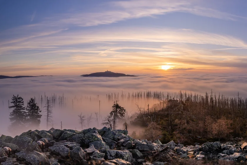 Fotoausstellung "HarzNATUR 2025"