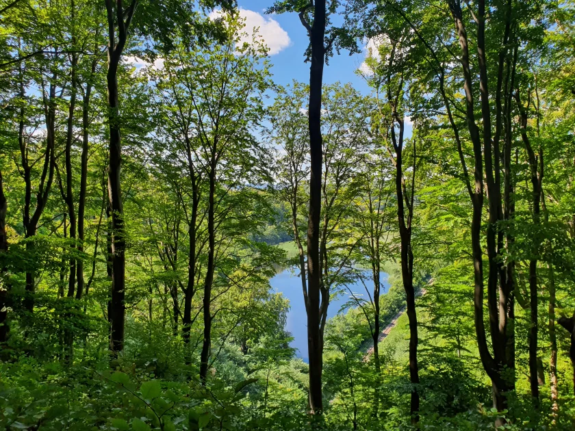 Fotowanderung durch den Gipskarst im "Himmelreich"