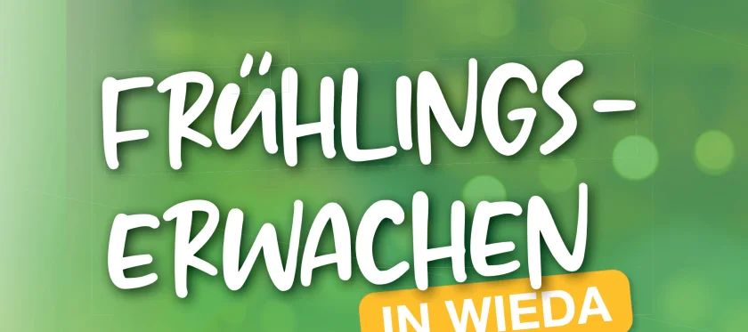 Frühlingserwachen in Wieda