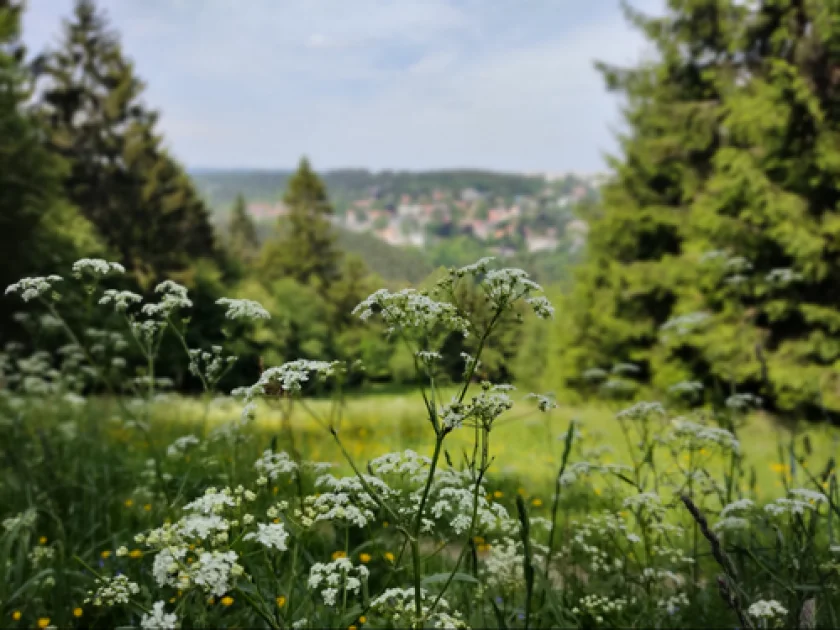 Frühstückswanderung mit Heidi