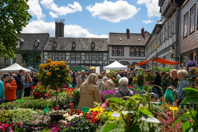 Gartenmarkt Goslar