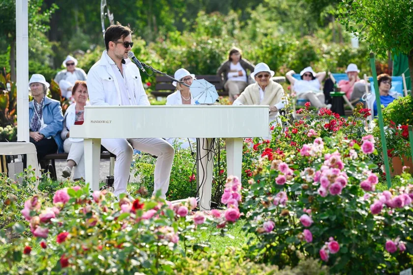 GARTENTRÄUME-Picknick-Konzert in Weiß