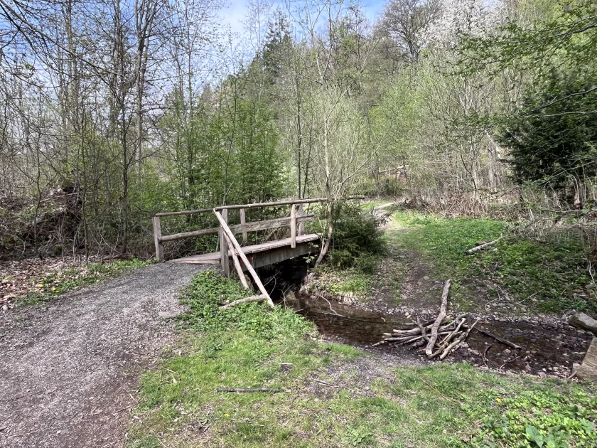 Geführte Heilklima-Wanderung