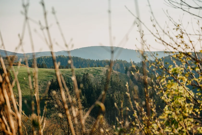 Geführte Wanderung "Versteckte Plätze um Braunlage"