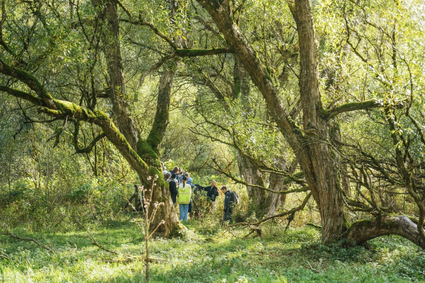 Geführte Wanderung "Versteckte Plätze um Braunlage"
