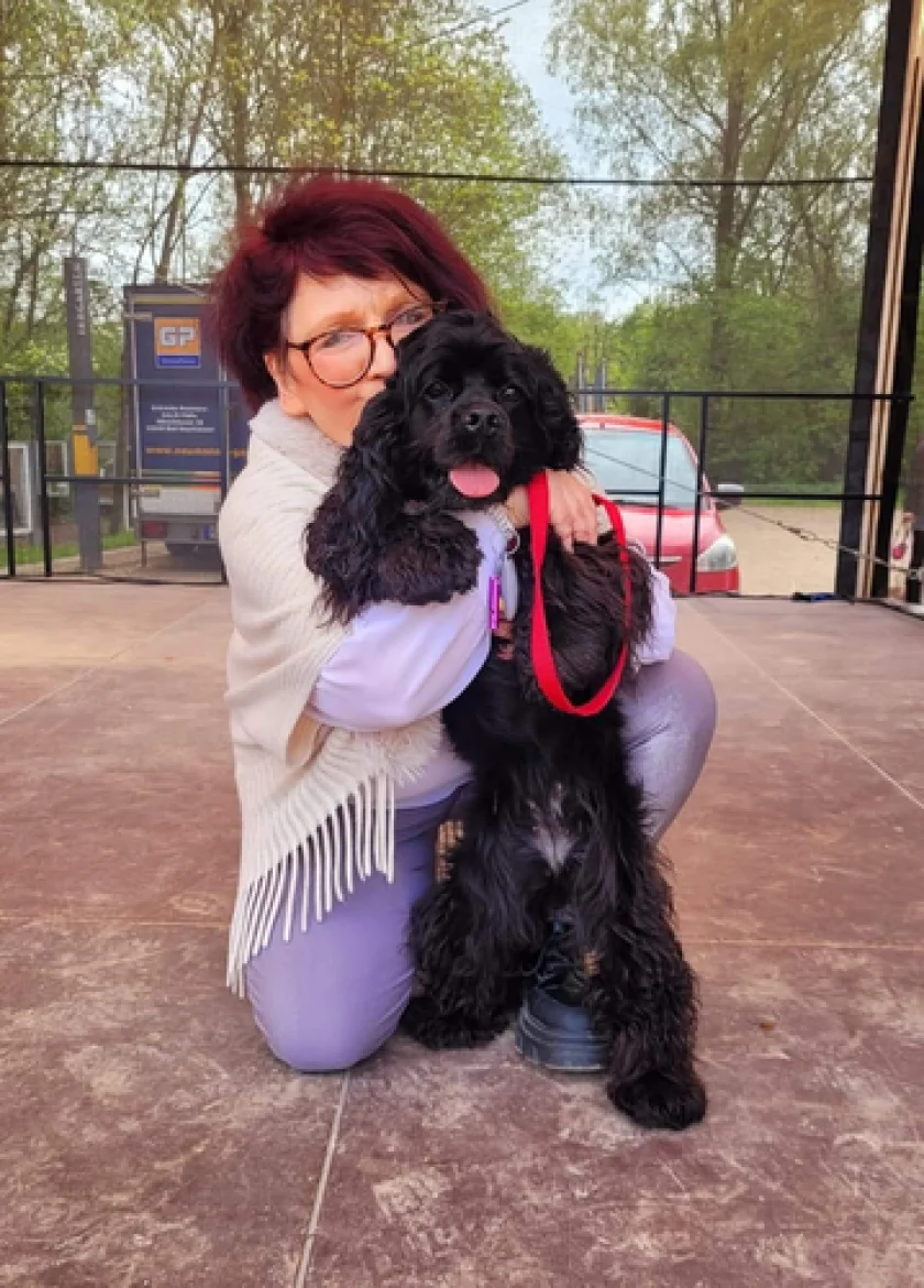 Harzer Hunde-Tage - Mitmachshow mit den AmericanDanceCocker von Jutta Gaßmann