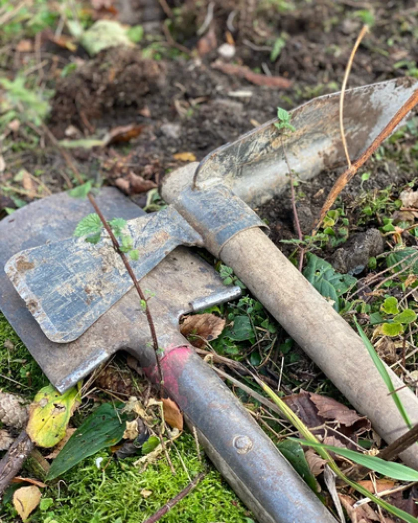 HarzerKlimaTage - Wanderung mit anschließender Baumpflanzaktion