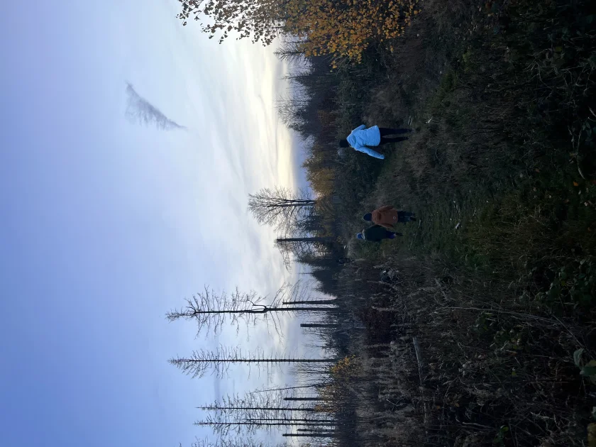Hirschbrunftwanderungen bei Oderbrück - Wanderung mit einem zertifizierten Wanderführer