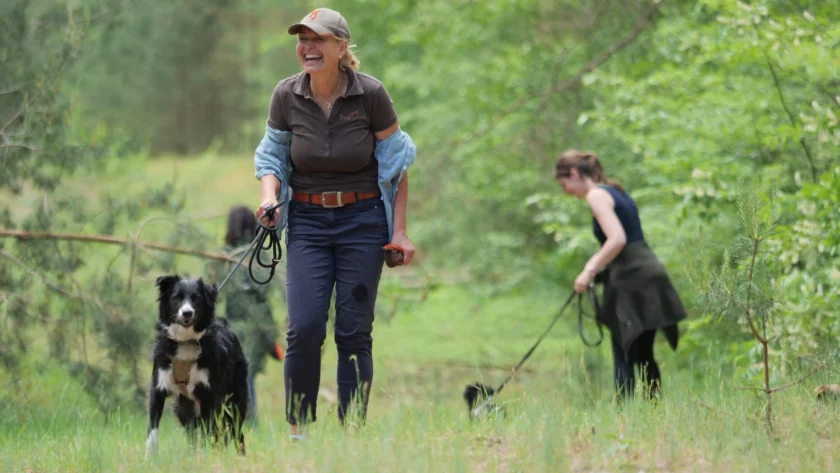 Hundewanderung mit der DogSchool Berlin Brandenburg