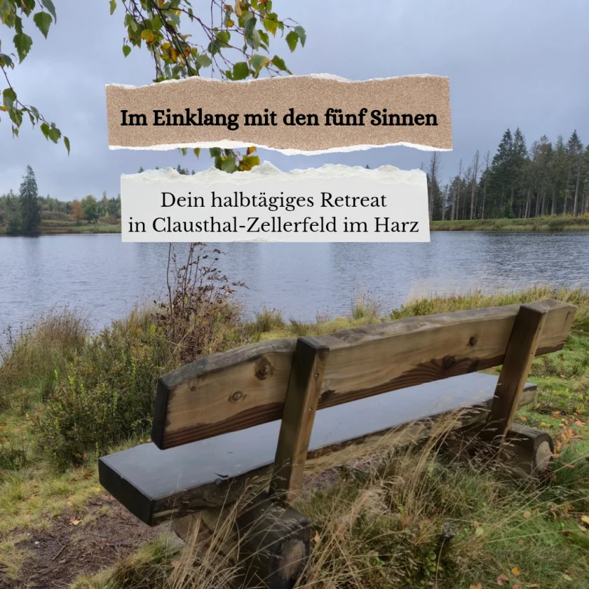 Im Einklang mit den fünf Sinnen