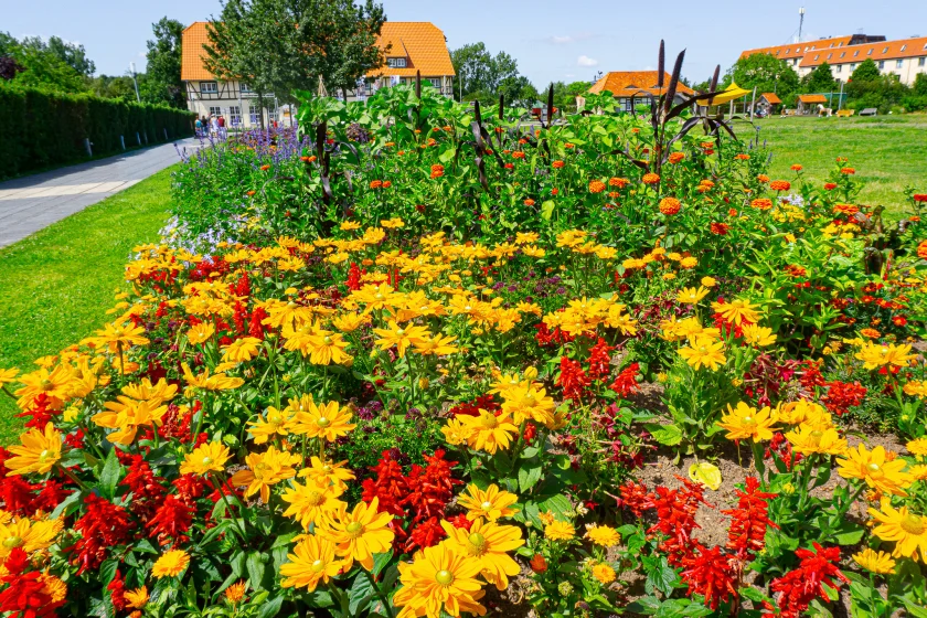 20 Jahre Gartenschau - blühende Erinnerungen