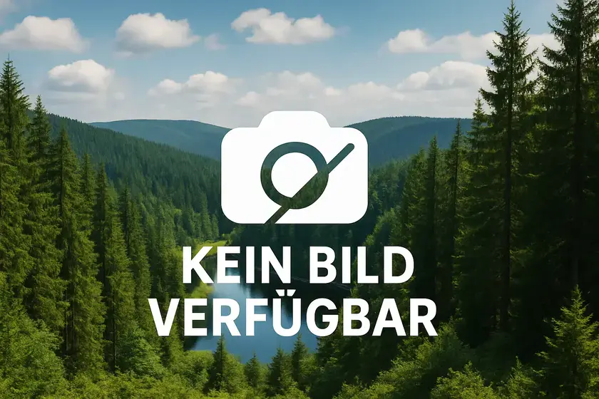 Bibliotheksabenteuer