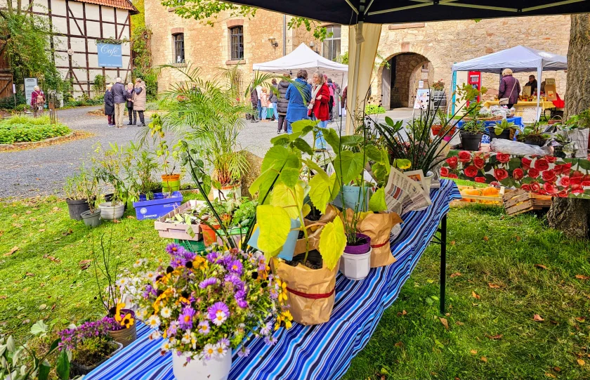 Klostermarkt in Brunshausen