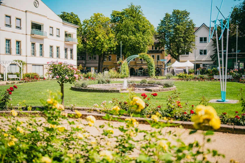 Konzertreihe "Junge FestivalFans" (17. Mai)