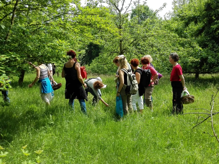 Kräuterspaziergang