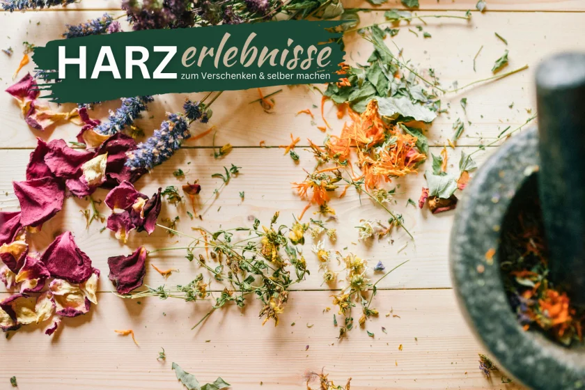 Kräuterwanderung - Entdecke die Schätze der Natur.