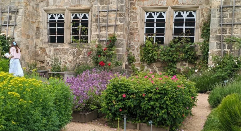 KräuterWerkstatt: Aprilgrün – mild & lecker | KreAktive Werkstatt