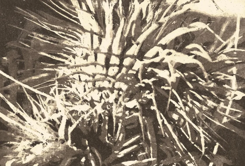Kunstkurs Radierung II