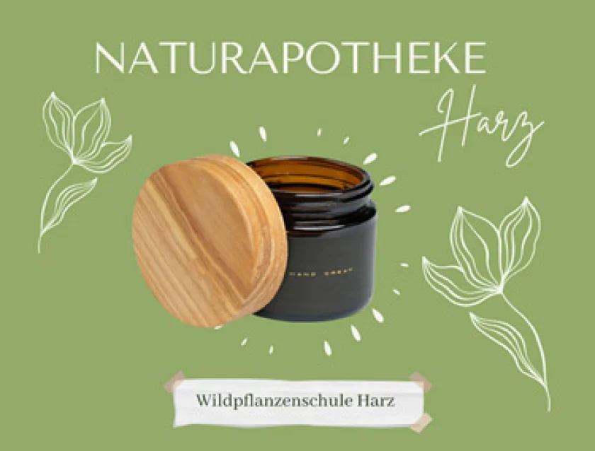 Kurs "Naturapotheke" - eine Veranstaltung der Wildpflanzenschule Harz e.V.